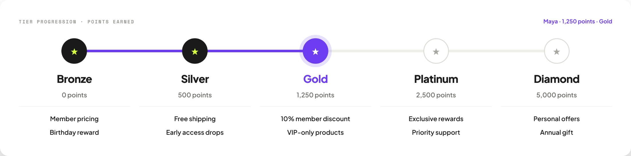 A tier progression bar from Bronze at 0 points through Silver at 500, Gold at 1,250, Platinum at 2,500 and Diamond at 5,000, each with its own perks listed beneath
